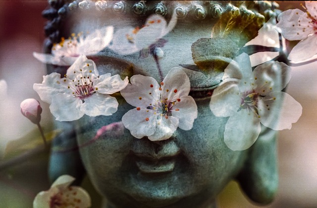 buddha flower buddhism