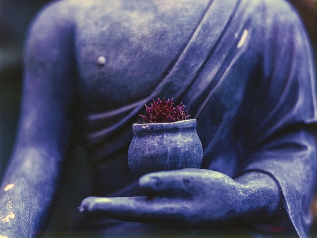 religion buddha plant