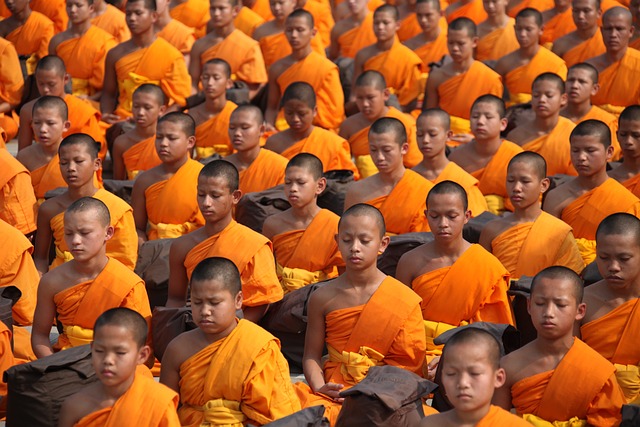buddhists meditate monks