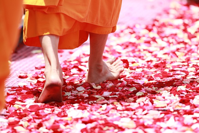 monk walking rose petals