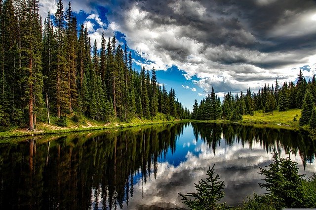 lake clouds conifers
