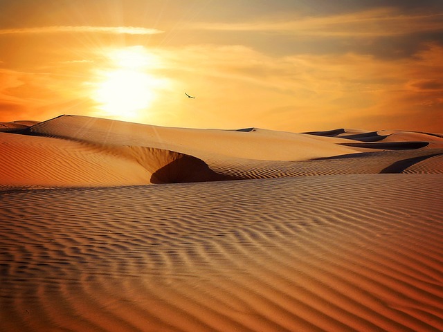 desert sand barren