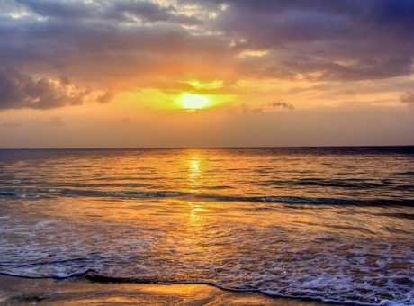 irewolede XjFZbWWhvl8 unsplash 1