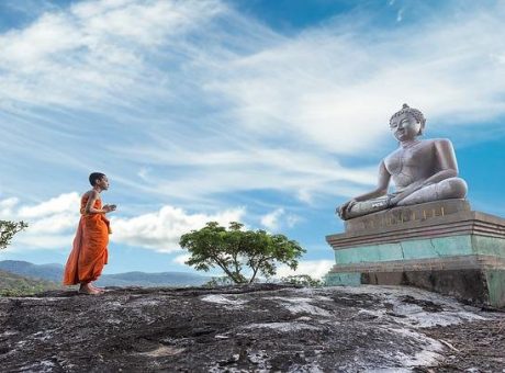 monk 1782432 6403771402060412584991